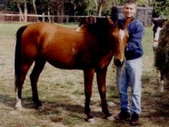 Choice was a great horse with children yet incredibly fast when you wanted him to be