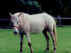 Sweet Pea lived up to her name