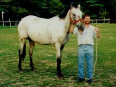 Teaser also lived up to his name.