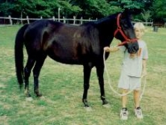 Peaches is a great size for children and does a good job with them